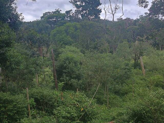 #CA0007 - Sítio para Venda em Cotia - SP